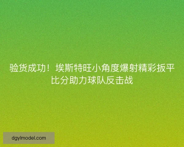 验货成功！埃斯特旺小角度爆射精彩扳平比分助力球队反击战