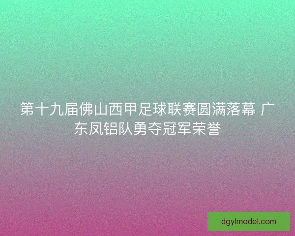 第十九届佛山西甲足球联赛圆满落幕 广东凤铝队勇夺冠军荣誉